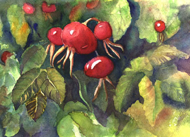 Rose Hip Parade