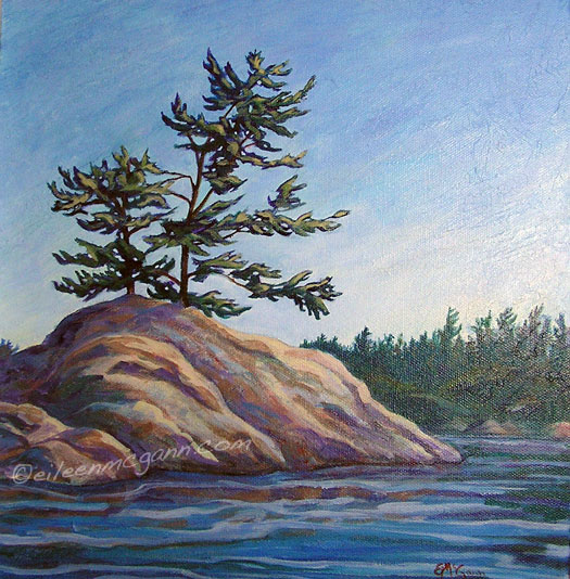 Tree & rock, MacRae Lake