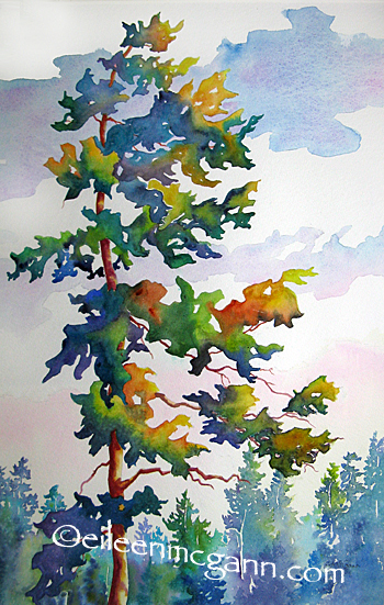 coastal fir half sheet